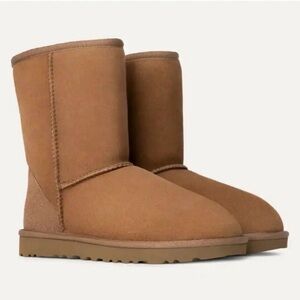 Pre-Loved UGG Classic Short  Chestnut SZ 11 shearling warm